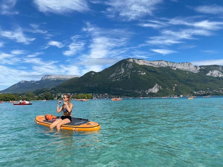 Апартаменти Cocon A La Campagne,Proche Annecy Альбі Екстер'єр фото
