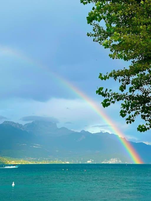 Апартаменти Cocon A La Campagne,Proche Annecy Альбі Екстер'єр фото