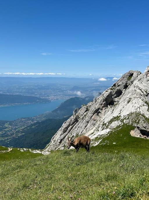 Апартаменти Cocon A La Campagne,Proche Annecy Альбі Екстер'єр фото