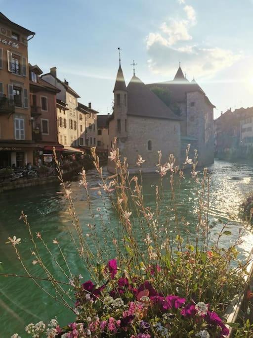 Апартаменти Cocon A La Campagne,Proche Annecy Альбі Екстер'єр фото